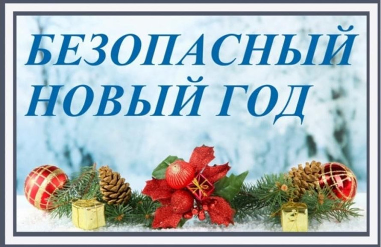 профилактическая акция <Безопасный Новый Год>..